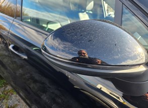 /Vozila/PORCHE CAYENE/20251031_093050 (Medium).jpg