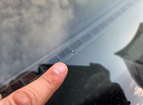 /Vozila/ŠKODA OCTAVIA COMBI/20251031_094922 (Medium).jpg